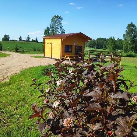 Вілла Zubites - 3 Berzgale Екстер'єр фото